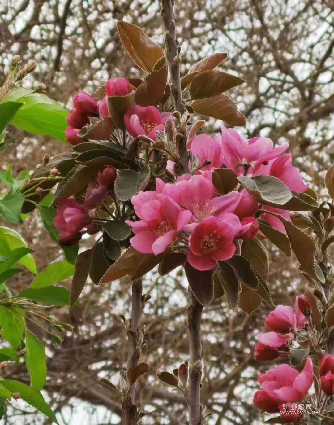 ʥ���ϼ������������ϵ���