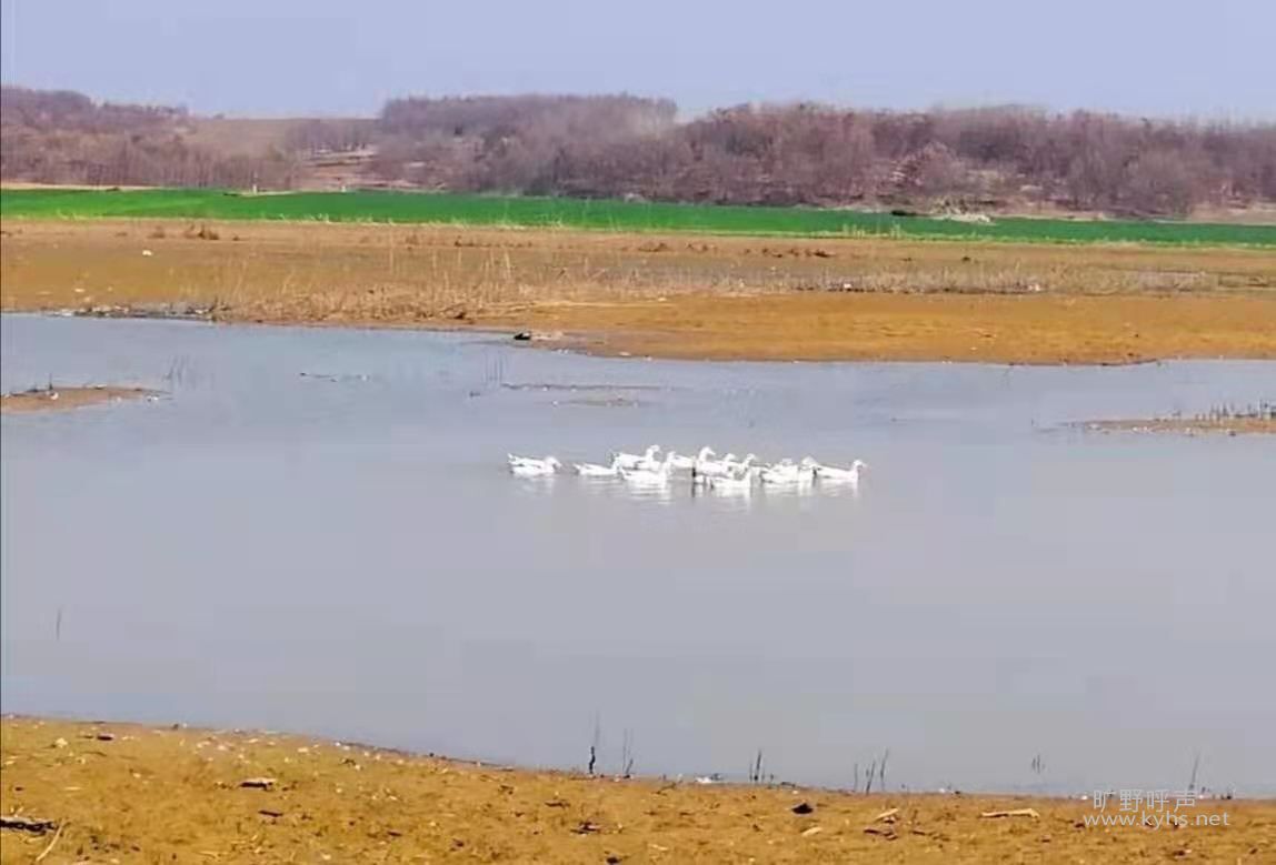 ΢��ͼƬ_20210305173419.jpg