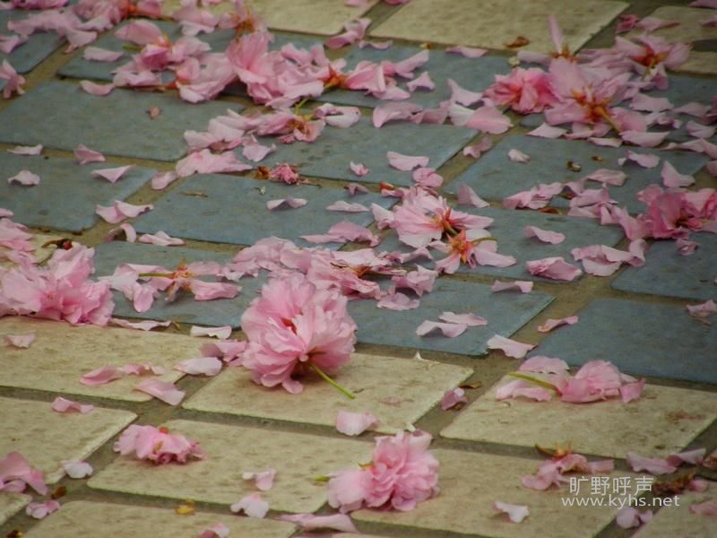 src=http_%2F%2Fimg.itc.cn%2Fphoto%2Fjdzq4xyib7j&refer=http_%2F%2Fimg.itc.jpg