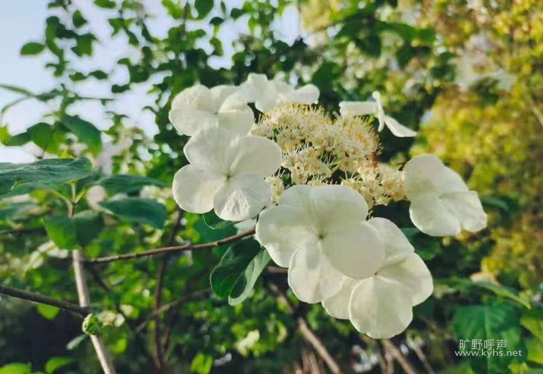 ˭��ָ֤��������