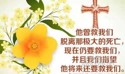 Ү�յĵ�ʤ��Ϊ���ǵĵ�ʤ