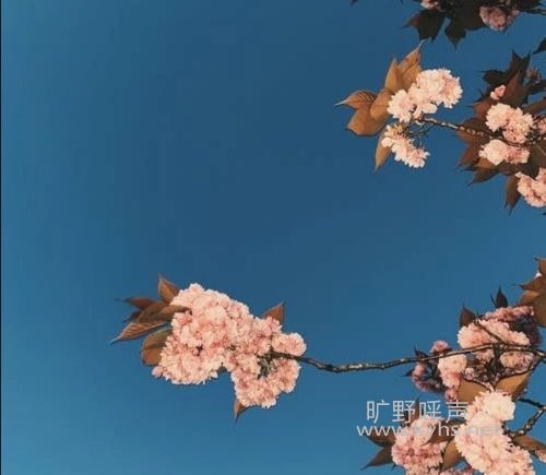 ΢��ͼƬ_20210305174938.jpg