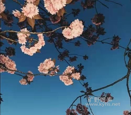 ΢��ͼƬ_20210305174920.jpg