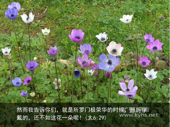 ����Ҫ�ӵ���