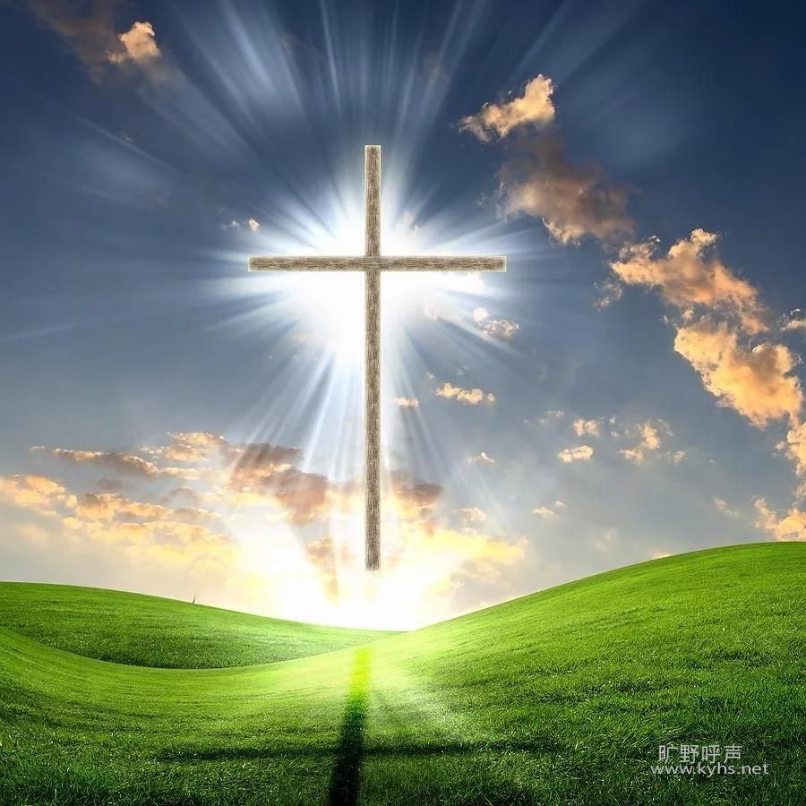 һ���ر�ĸ���ڣ�