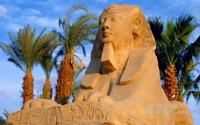 �λع�����������ڰ���