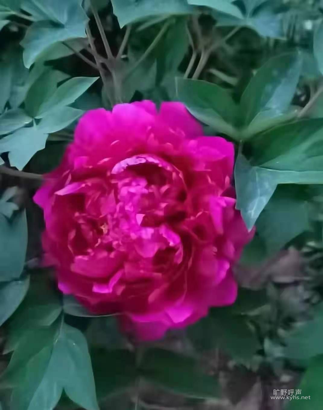 ��ʿ ϣ�� ����