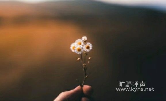 �����Ա���������,�������ܱ�������