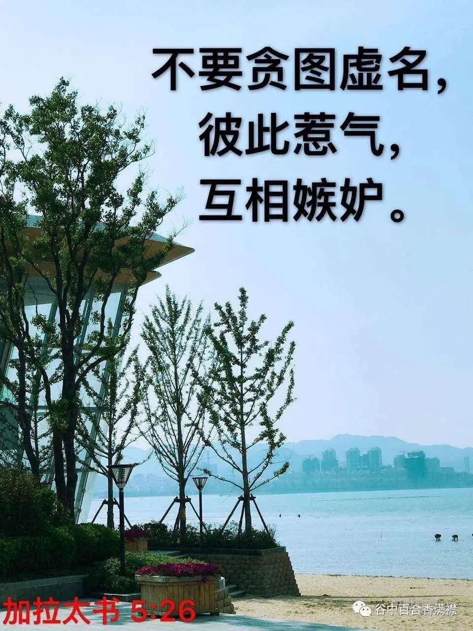 mmexport1622340839530.jpg