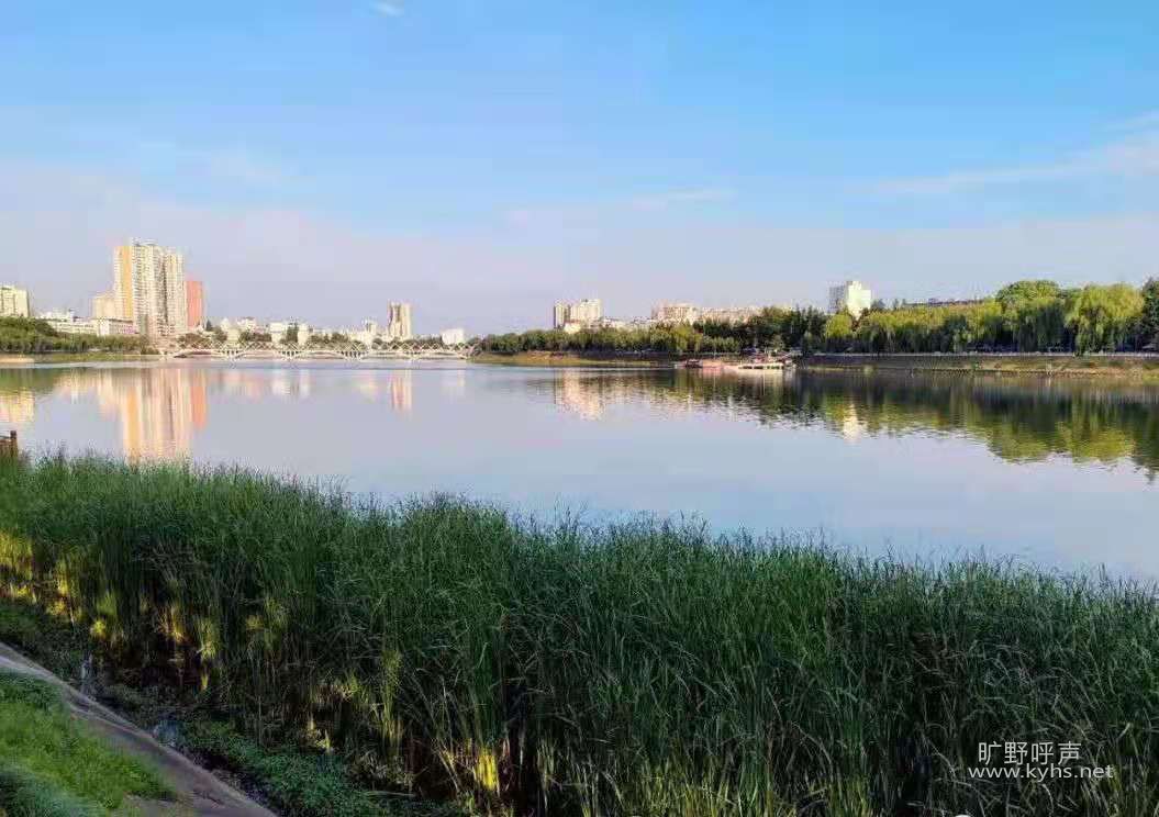 ����������������ʺ�