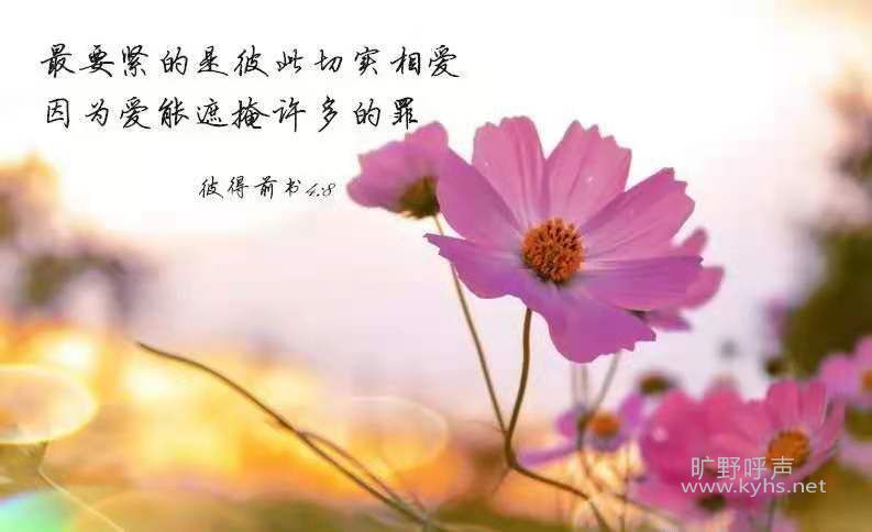 ΢��ͼƬ_20210531054952.jpg