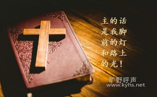���š�14���ڻ����ϲ�������ȫ�ˡ��ϡ�����3:1��2��
