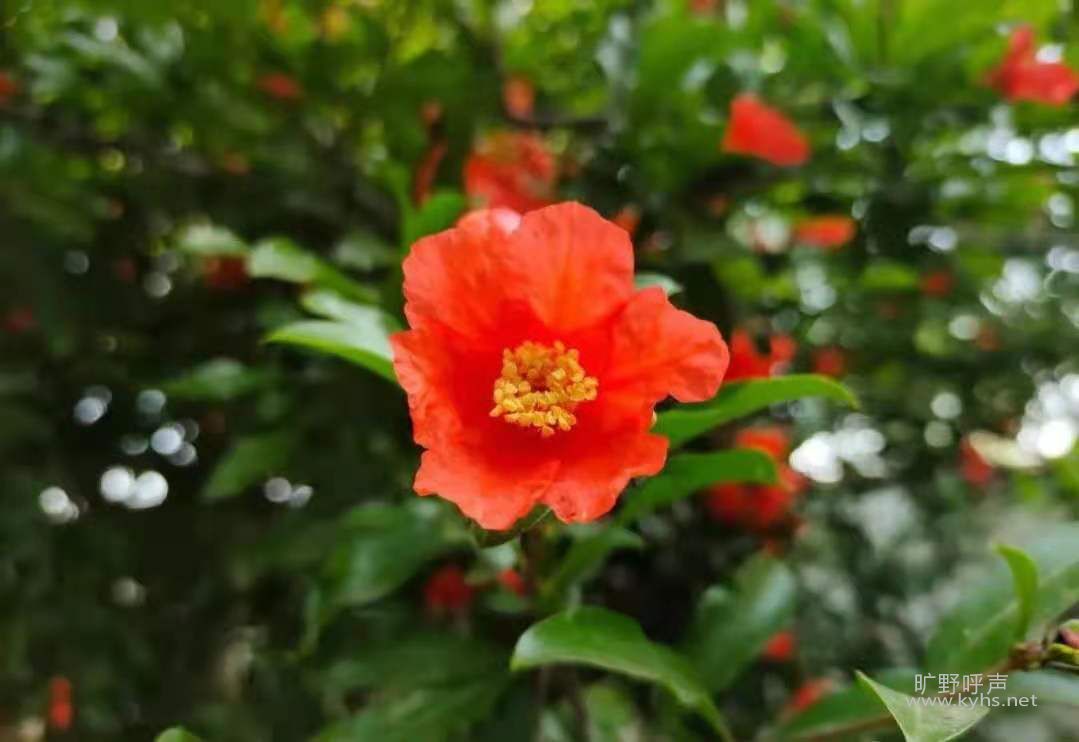 ����ů��Ӧ��������ר���㡣��