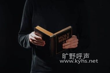 ���������̷ϵ�н����ڶ�������Ϊ�̷