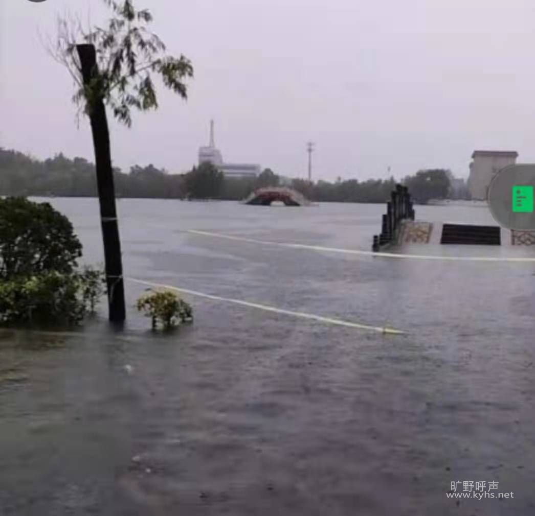 ������Ϊ�����������ʲô��