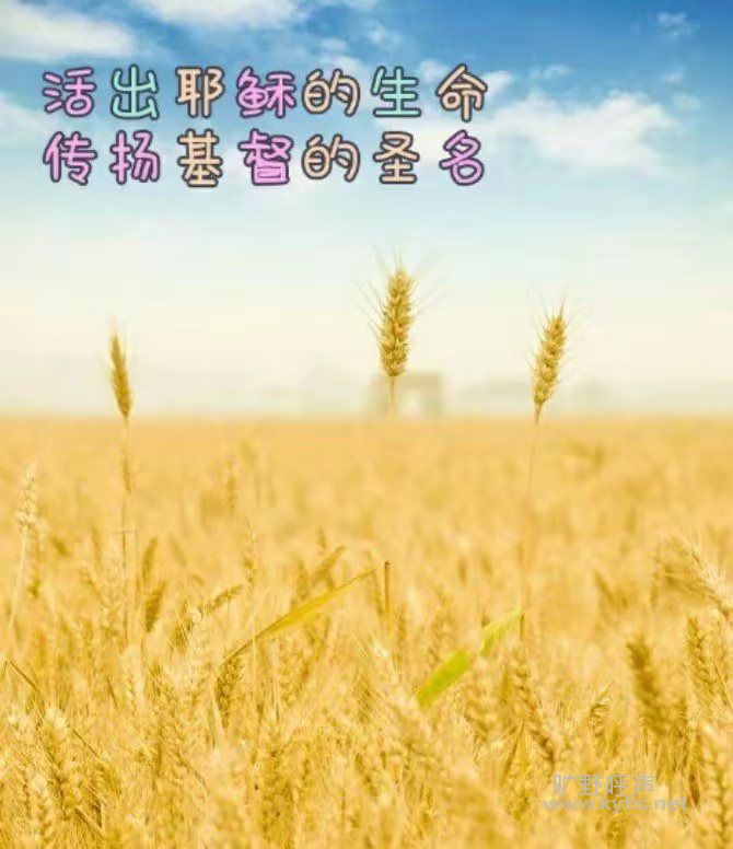 ����Ѱ�ҵ�������