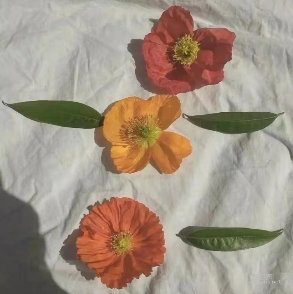΢��ͼƬ_20210704125712.jpg