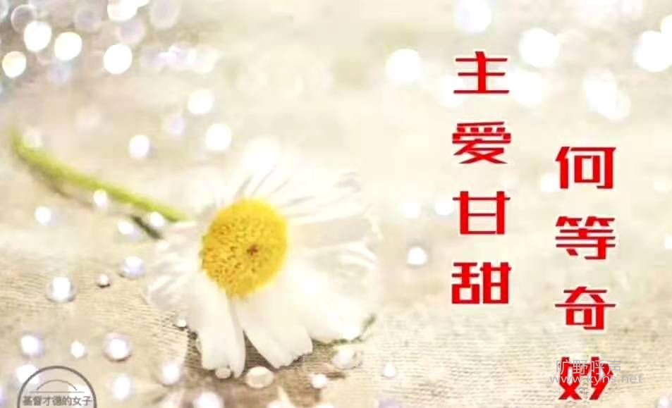 ָ�����ǻ�