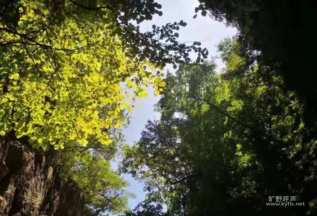 ΢��ͼƬ_20210816082805.jpg