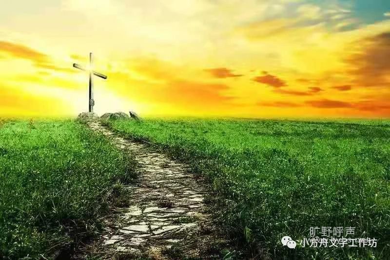 ΢С˵��������ҵ����ѡ�