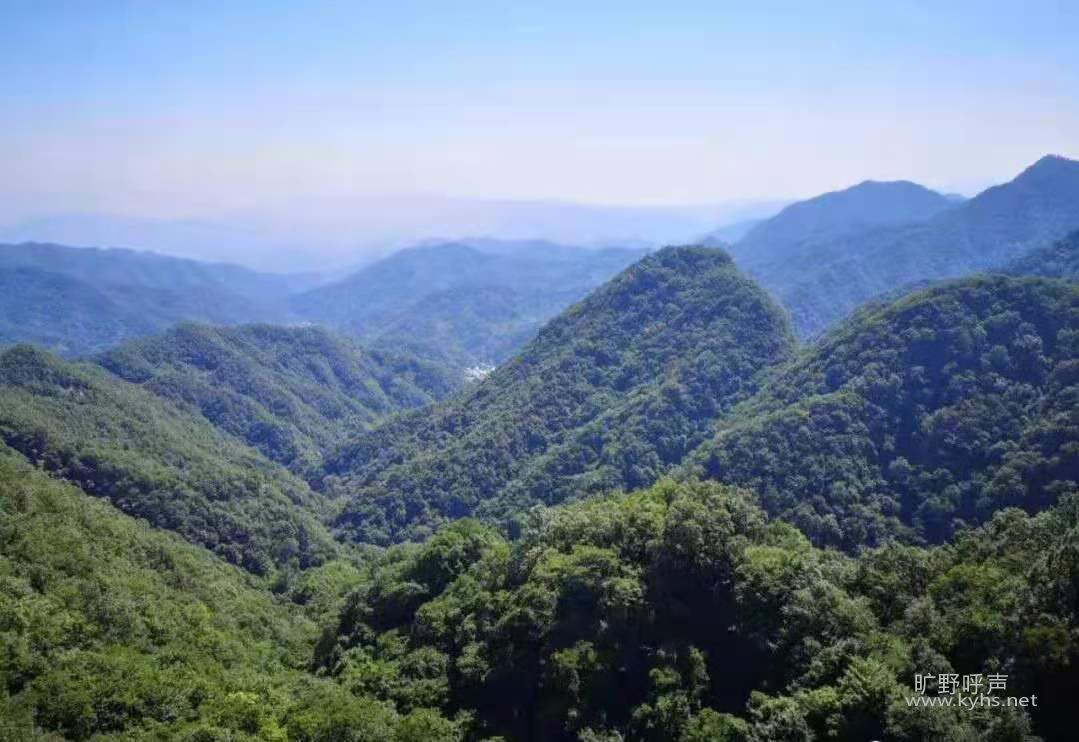 ΢��ͼƬ_20210816082707.jpg