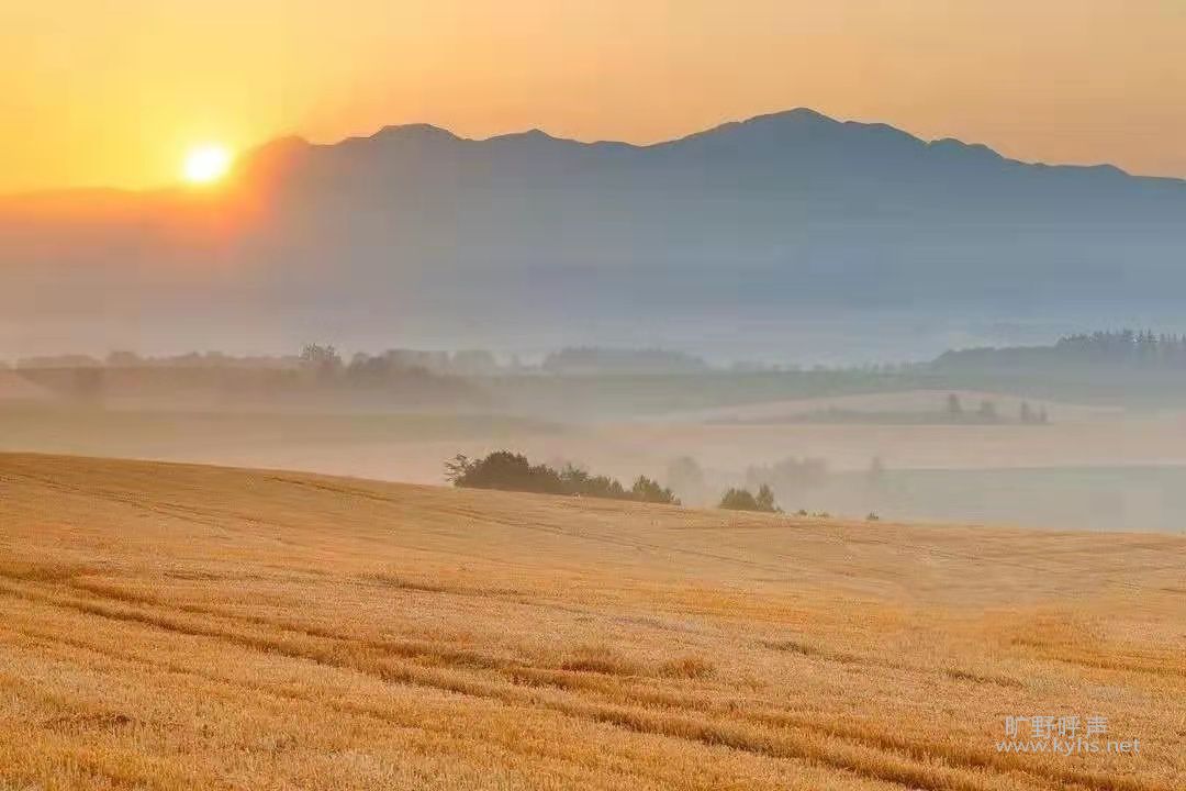 ΢��ͼƬ_20210823164106.jpg