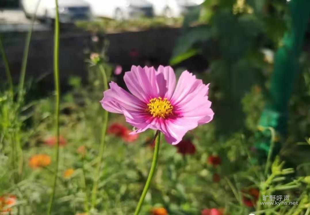 ΢��ͼƬ_20210816082647.jpg