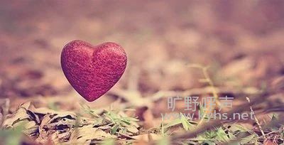 ʤ�����������