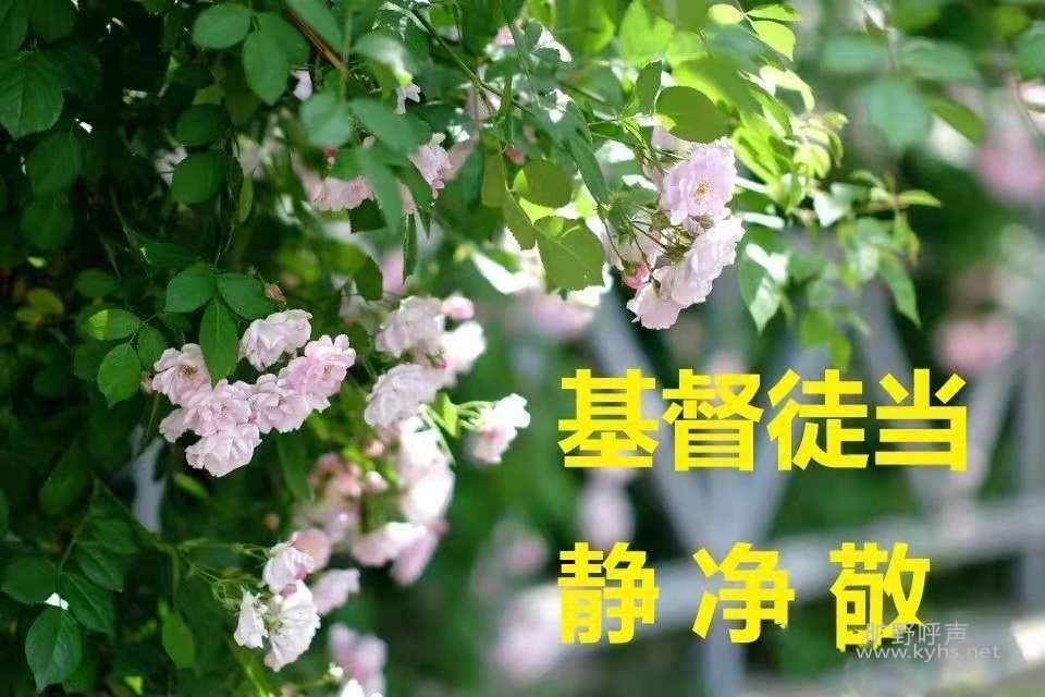 ΢��ͼƬ_20210830121317.jpg