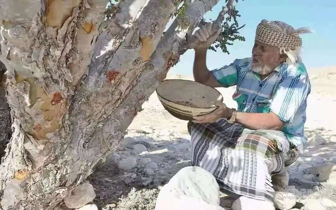 ΢��ͼƬ_20210819180213.jpg