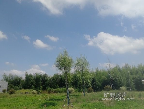 �ų����꼱�걩����ף���������