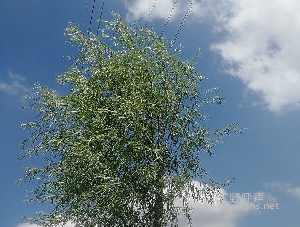 ΢��ͼƬ_20210915133033.jpg