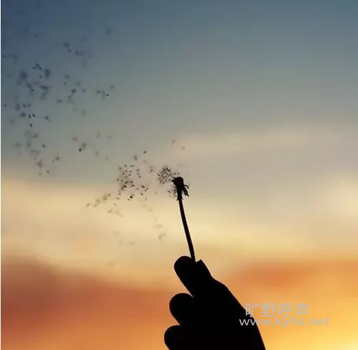 ΢��ͼƬ_20210728145553.png