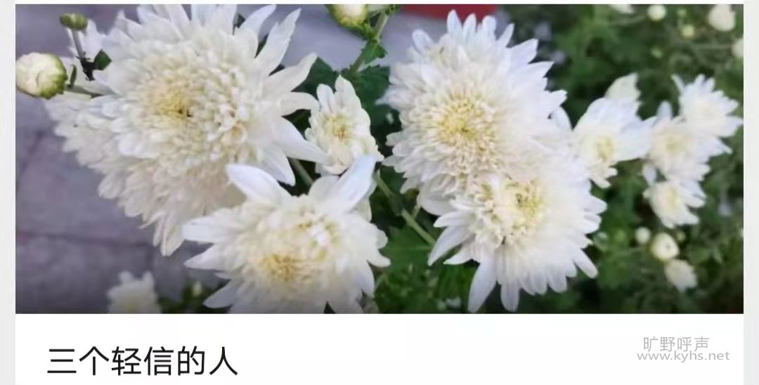 �������ŵ���