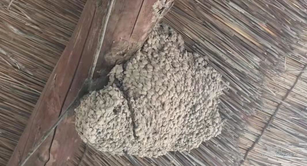 �������ҵġ����ᡱ