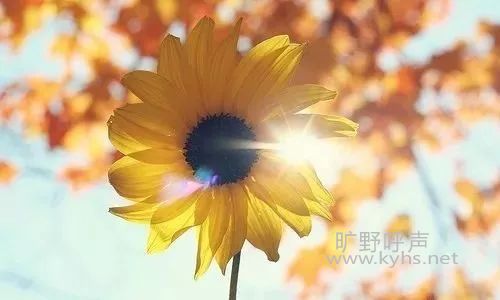 �Ӵ��ɽ�����¹����ҵ������������ҵ�