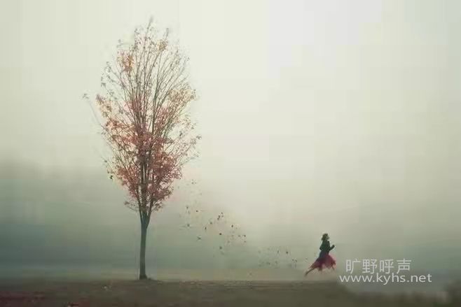 Ϊ�γ��Ӳ��뿪��