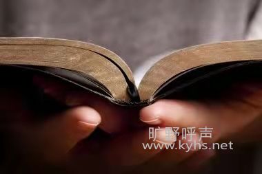 ˳ �� �� �� ����ʫ81��