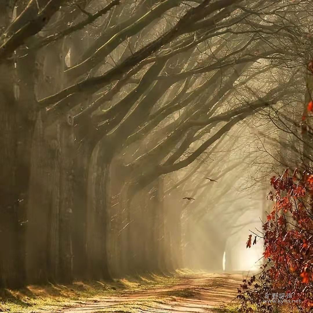 ΢��ͼƬ_20211106195230.jpg