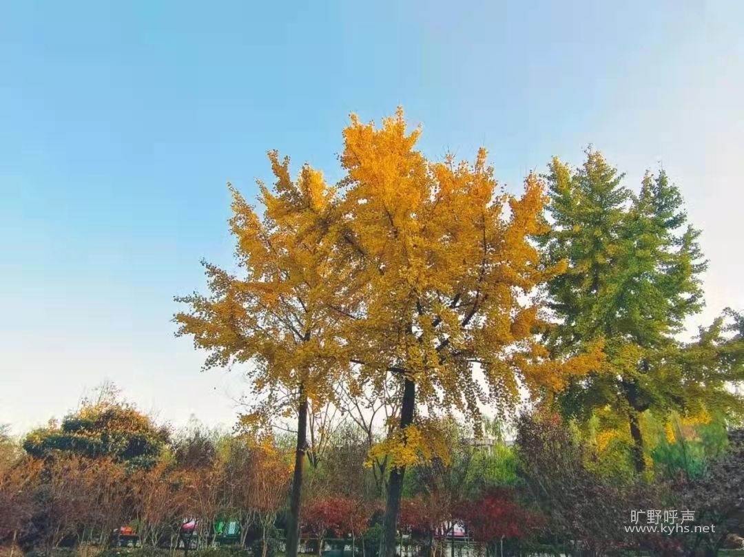 微信图片_20211124185330.jpg