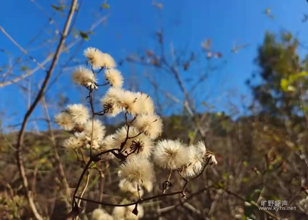 ΢��ͼƬ_20211115101745.jpg