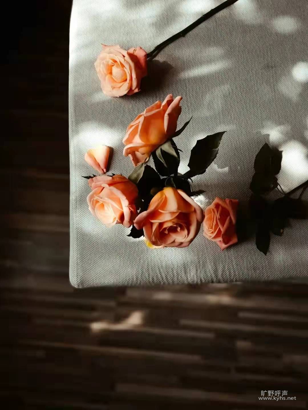 �����е���������