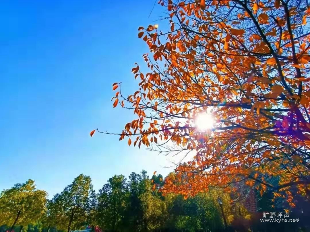 ΢��ͼƬ_20211203150918.jpg