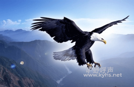 һ����ĳ�Ϣ����Ҫ�����˸�������