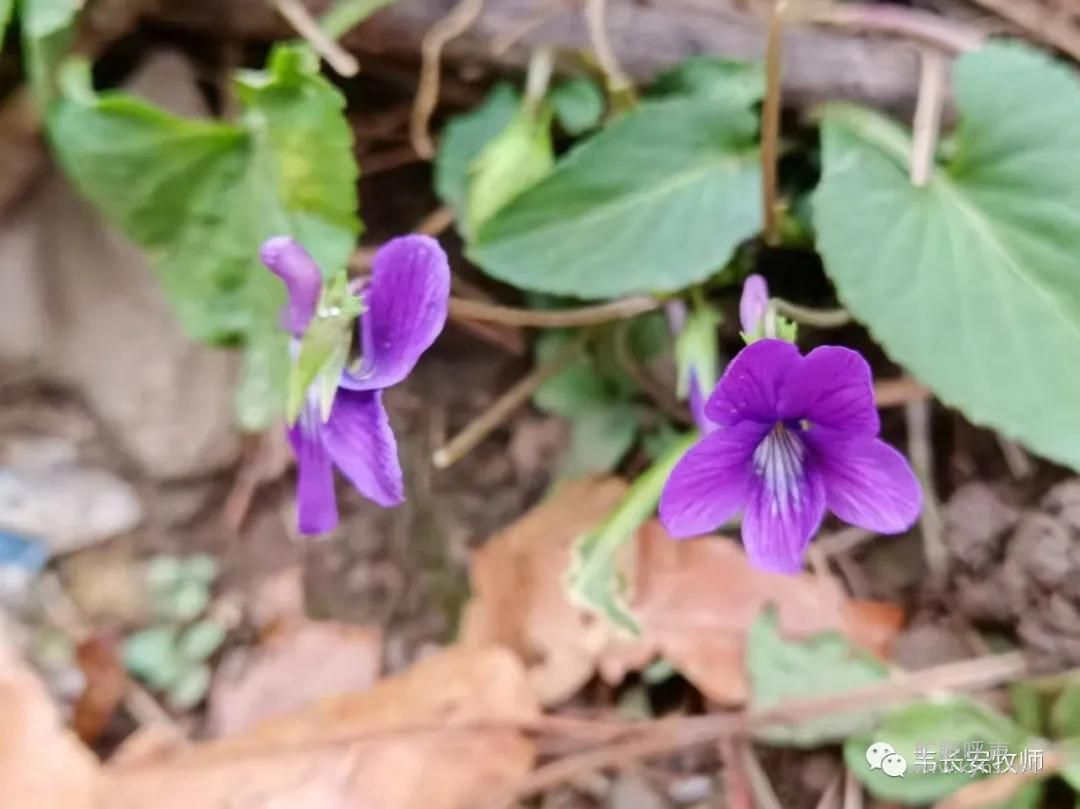 ���ף�
