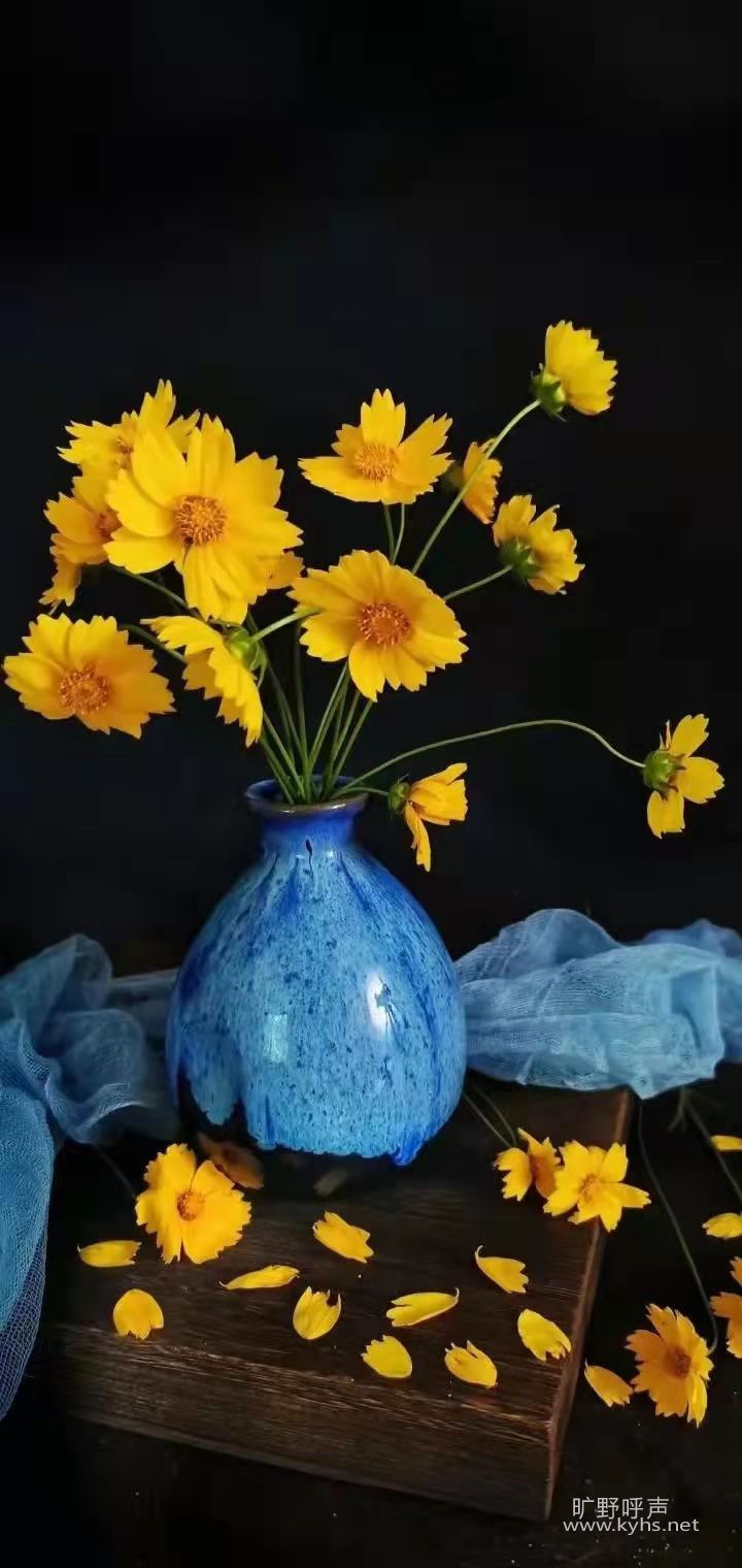 ������Ϳ�� �����Ϳ��