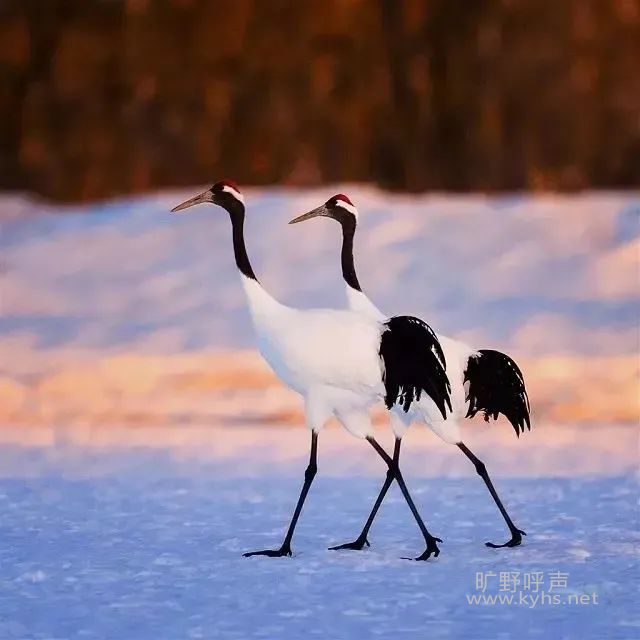 ΢��ͼƬ_20220119140726.jpg