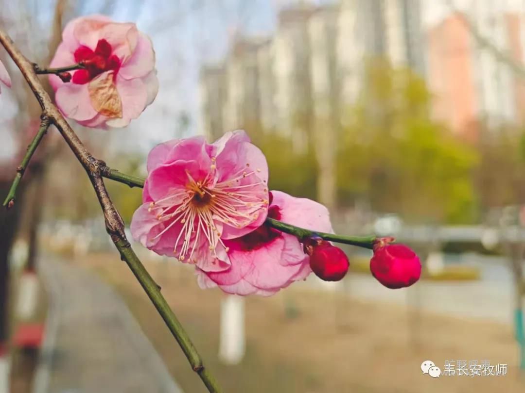 �µ�һ�죬Ը����Я����ǰ���ܣ�