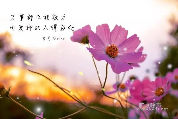 ���˵��洦�����ֻ���