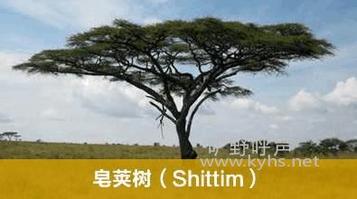������࣬��Ҳ�зḻ�Ĺ�Ӧ